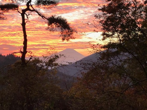 大山の登り返しから振り返ると夕映の富士が!