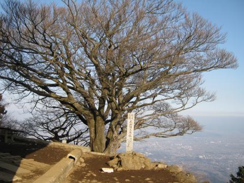 ヤビツ峠から３８分で標高１２５２ｍの大山山頂。時間が遅かったため人には会わず。まだ至る所雪が残っていた。