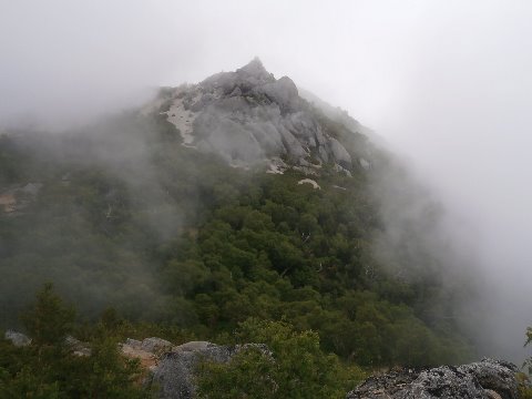 やっと稜線に出たが 薬師岳はガスの中