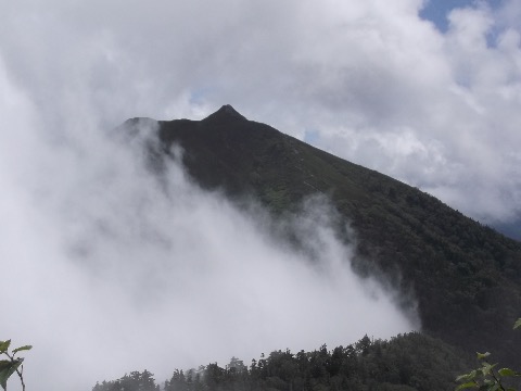 蝶槍 最後の登り