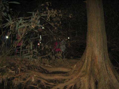 金時神社まであと一息！