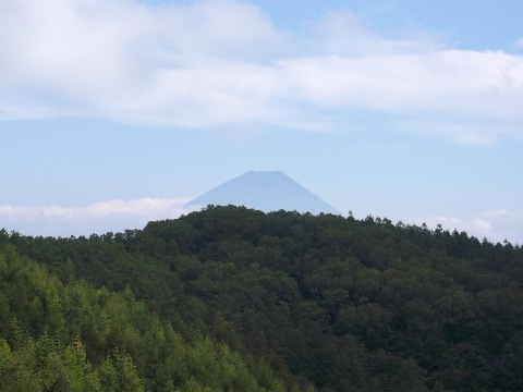 殆ど樹林帯で展望には恵まれなかったが、最後のピークの裸山で富士が(嬉)
