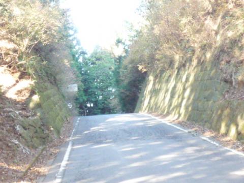 明るい中での冷川峠だ! 登りきったあとに激坂になっているのがよくわかる