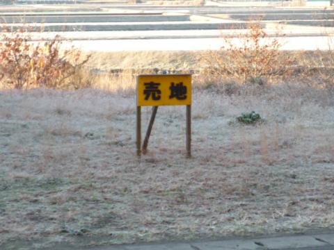 ランナー目当ての商売も盛んだ! しかし・・・買いたい時は
いったいどこへ連絡すればいいのだ???