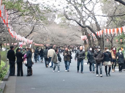 気の早い花見客がもう。。。写真には写ってませんが宴会組みがいっぱいましたよ~~ へべれけ組も~~
あ~~人のふりみて我ふりなおせ~~ 反省・・・・