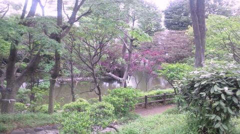 広尾の有栖川公園の中～～　　空気よくすっきりしますよ～～