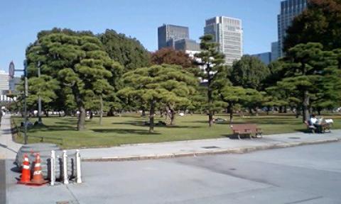 皇居外苑の中にある芝生の公園
サラリーマンやOLさんがランチしてます