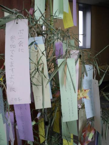 皆さん、願いが叶うといいですね!